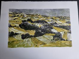 BODO STAUFFER LITHOGRAPHIE SIGNIERT NUMMERIERT
