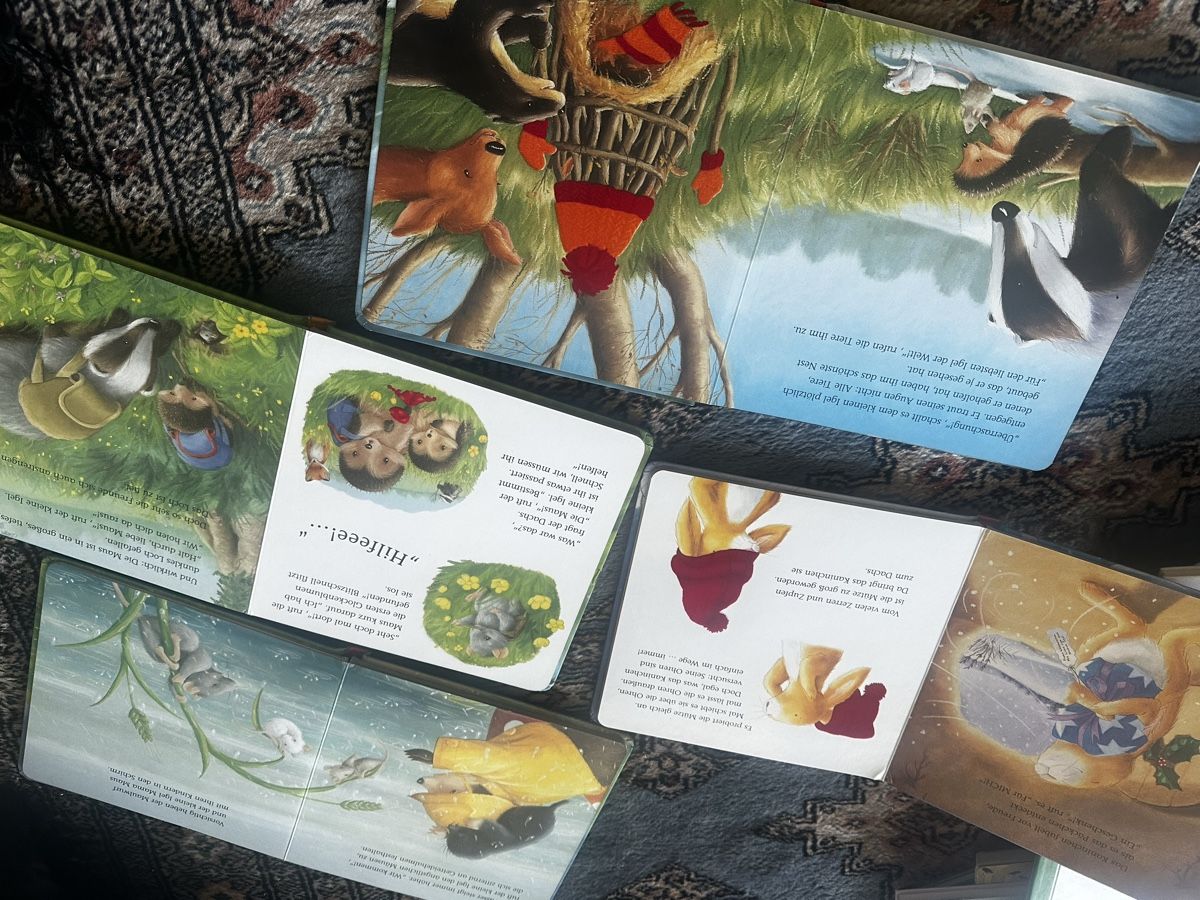 Libri: 4 bücher von der kleine Igel – Usato da Uster venduto da bek_v2ct 4