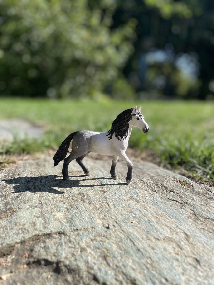 Schleich Giocattoli: Collection de chevaux Schleich  – Nuovo (secondo la descrizione) da Bussigny-sur-Oron venduto da adaouk 2
