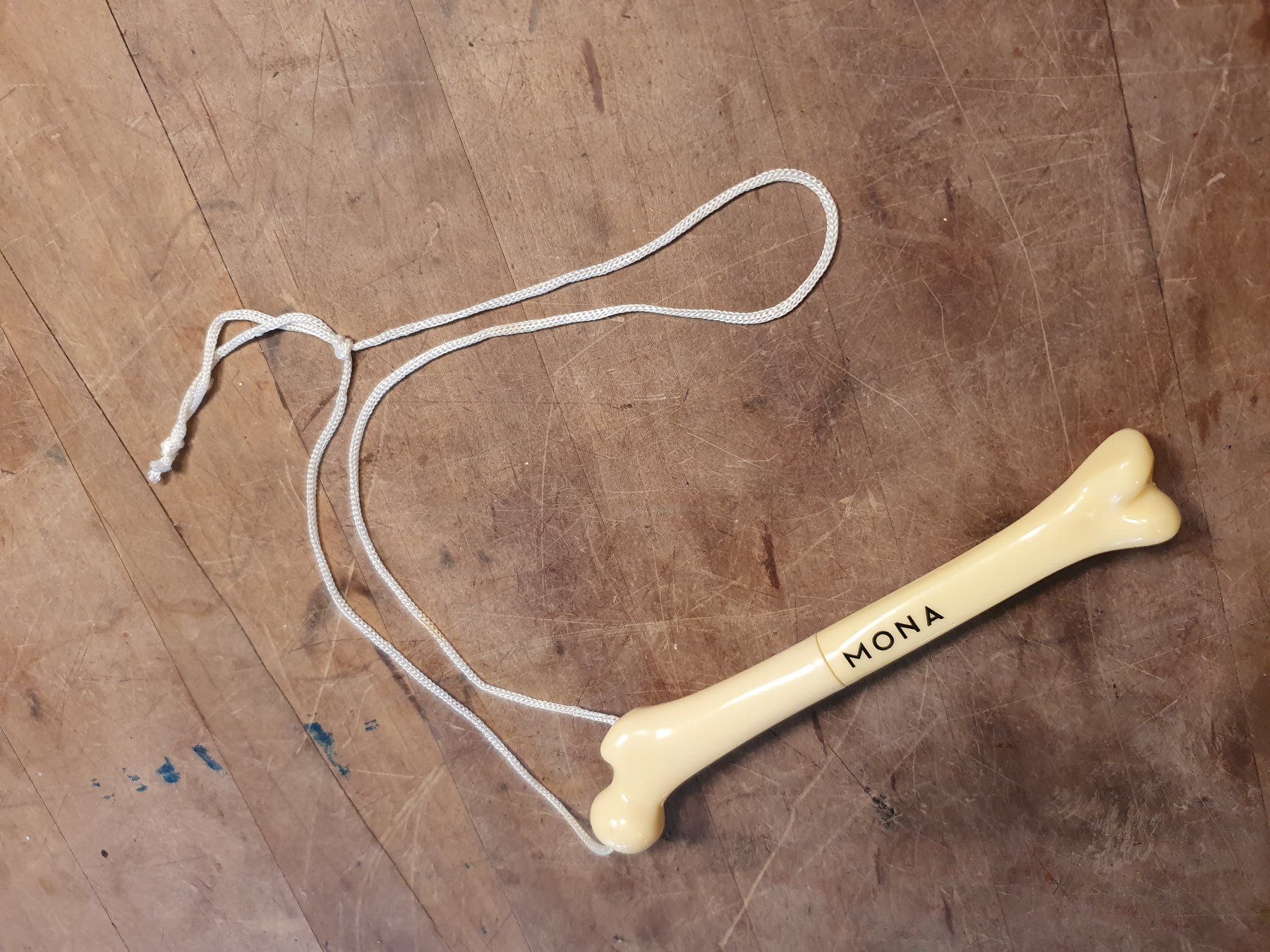 Stifte & Marker: Kugelschreiber umhängbar Knochenform – Gebraucht aus Zürich von loosebone