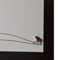 Collana con ciondolo farfalla