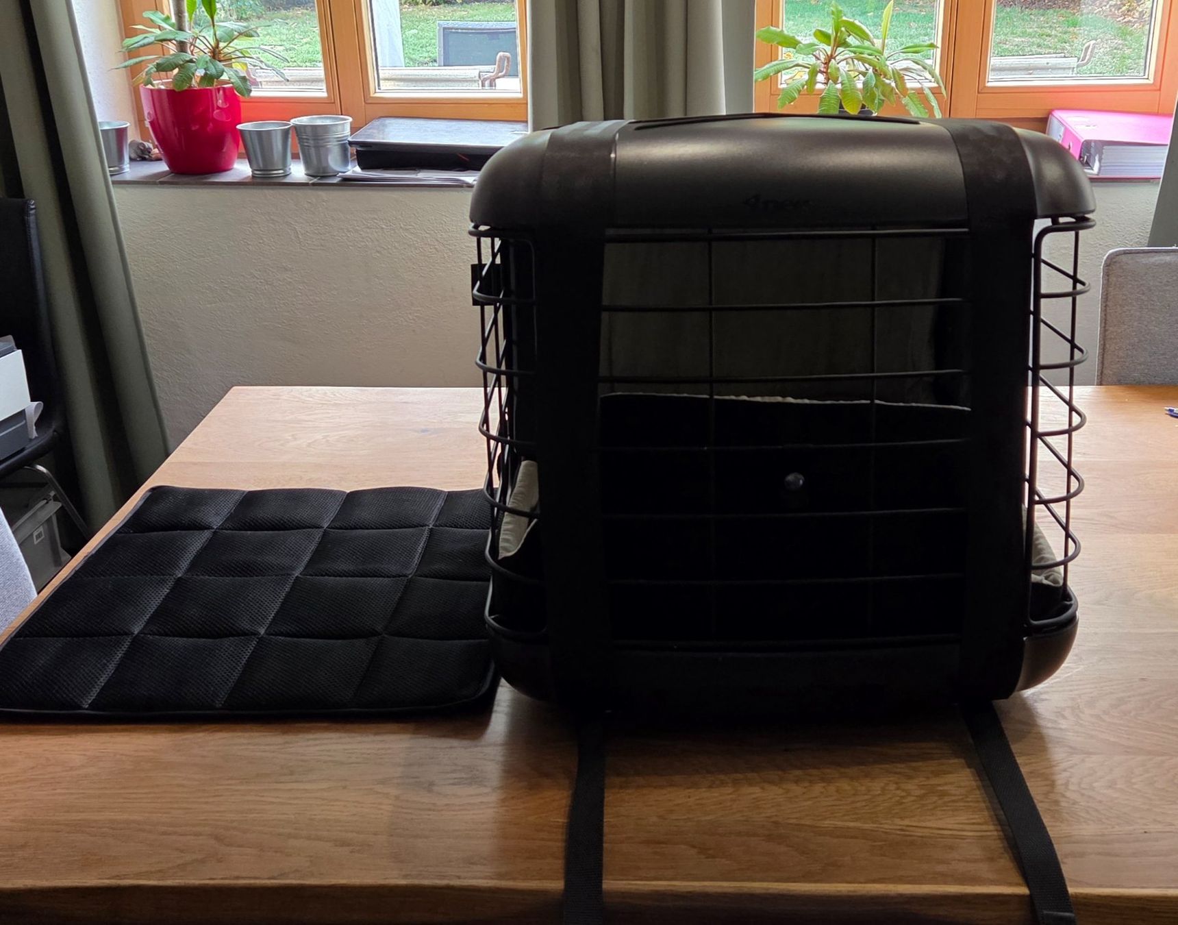 4pets Käfige, Transport & Sicherheit: Hunde Transportbox 4pets Caree schwarz – Gebraucht aus Windlach von Nachtblau01 2