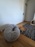 Flauschiges Katzenbett / Katzenkissen (Plüsch-Nest) – Hellgr