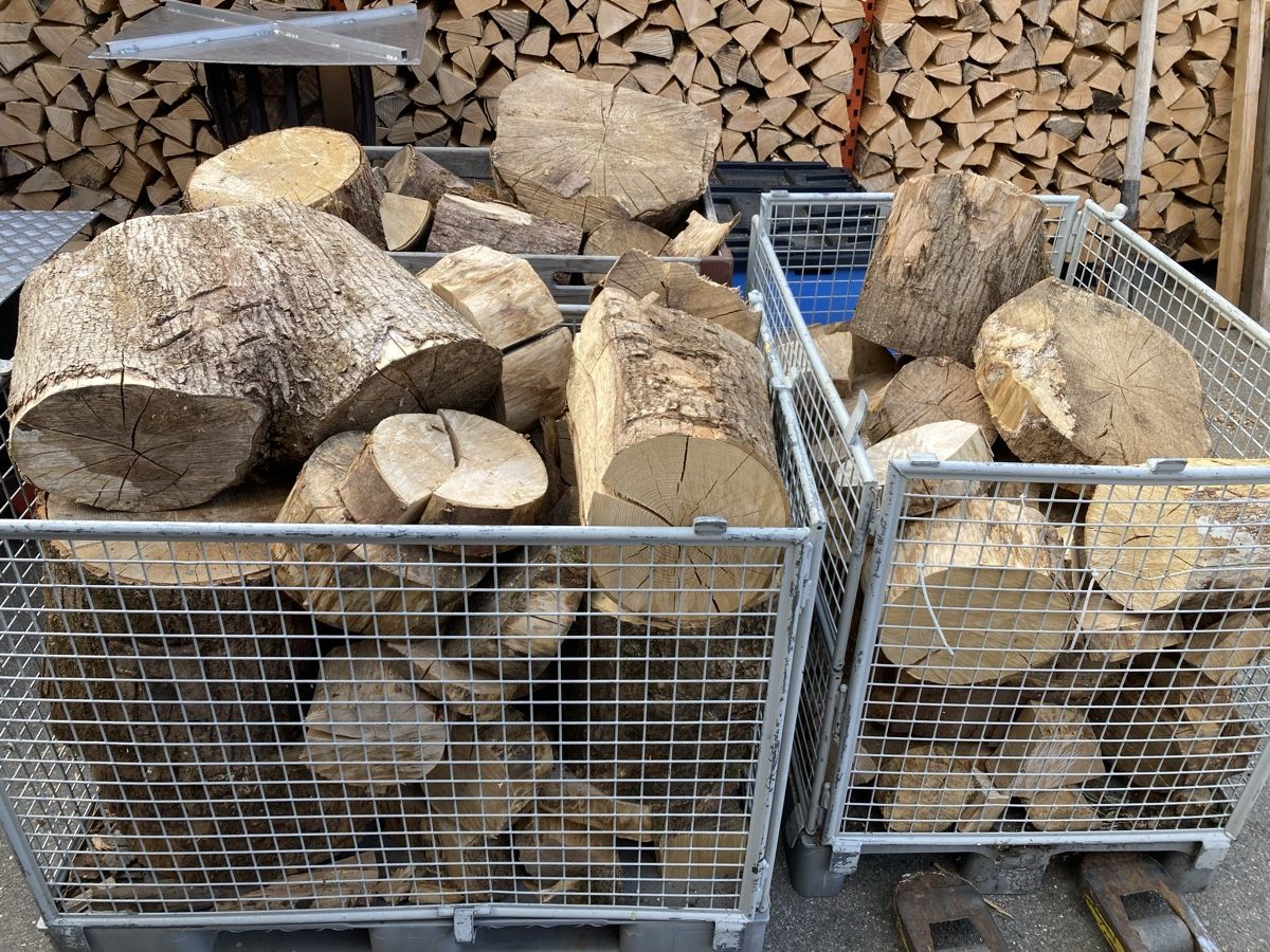 Articoli in legno: Brennholz Esche Abschnittholz – Nuovo (secondo la descrizione) da Vordemwald venduto da deutz4507