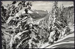 DAVOS Blick aus dem Schatzalpwald auf das Tinzenhorn