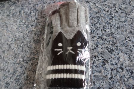 Handschuh