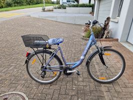 Damenvelo California 8-Gang Shimano Revoshift