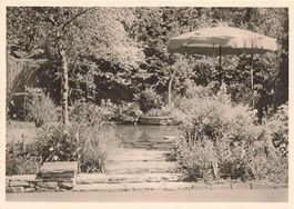 Zürich (ZH) – Motiv aus dem Zügapark mit Teich G