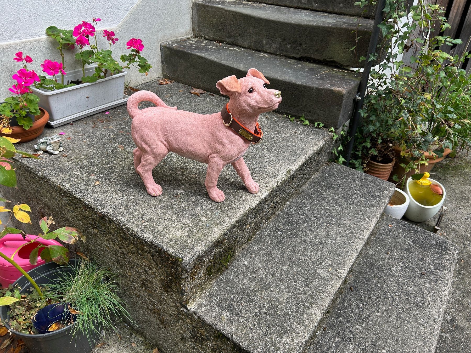 Statuette: H U N D rosa Nackthund – Usato da Rheineck venduto da emma.gut 3
