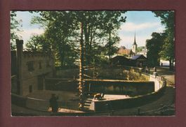 BERN - Bärengraben - 1965 // Eckbug //