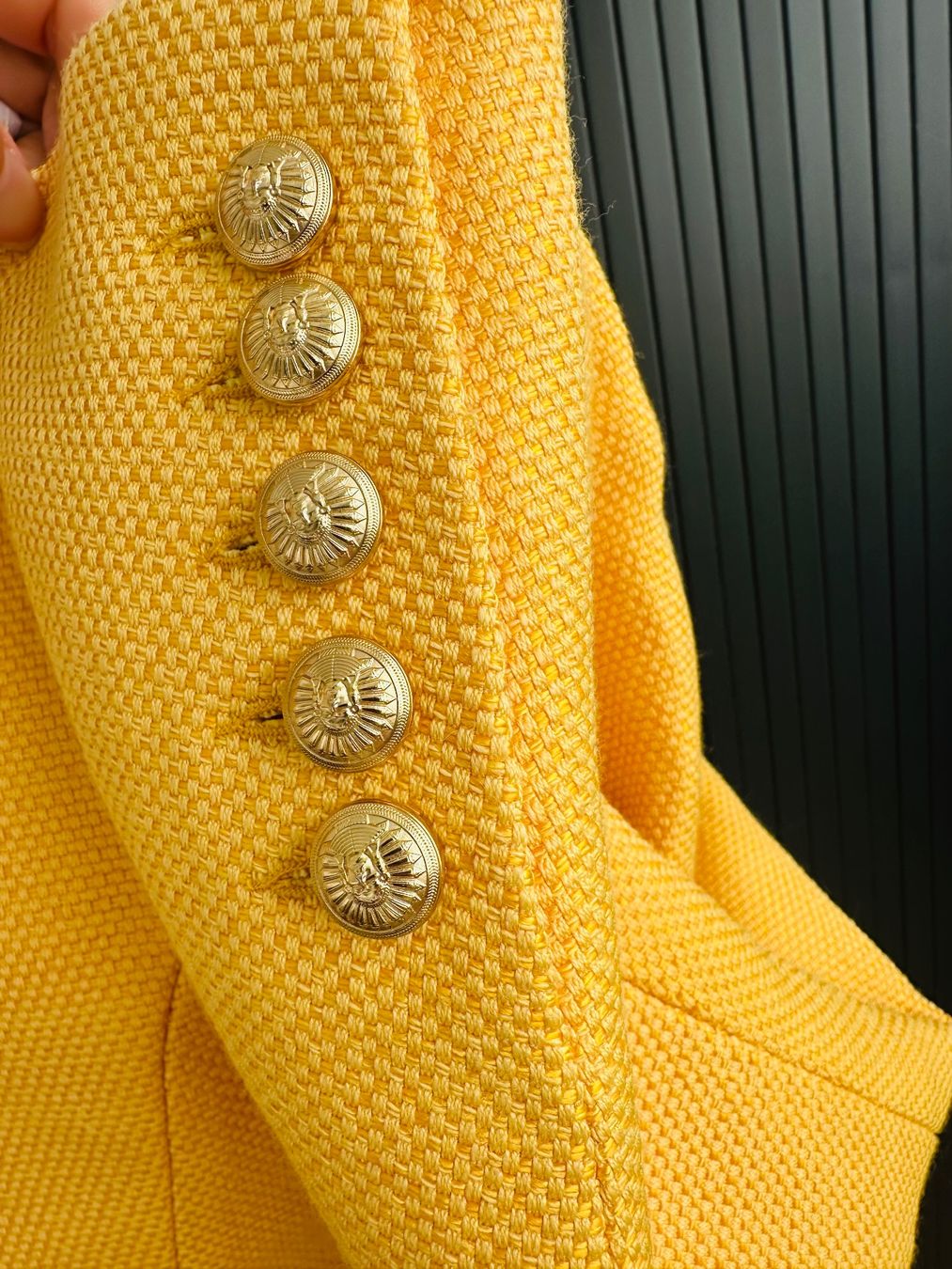 Balmain Jacken: Balmain blazer – Gebraucht aus Le bry von Jasminka2015 2