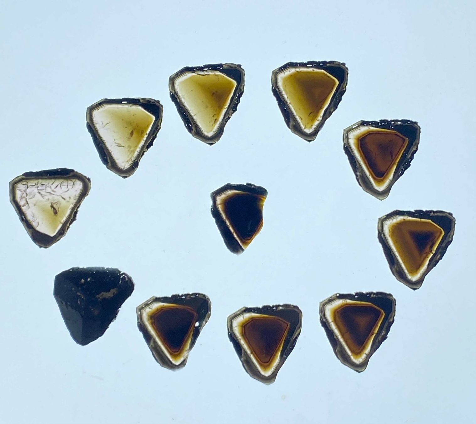 Minerali & Pietre curative: Turmalin Querschnitte – Usato da Arlesheim venduto da Siebenschlaefer7 1