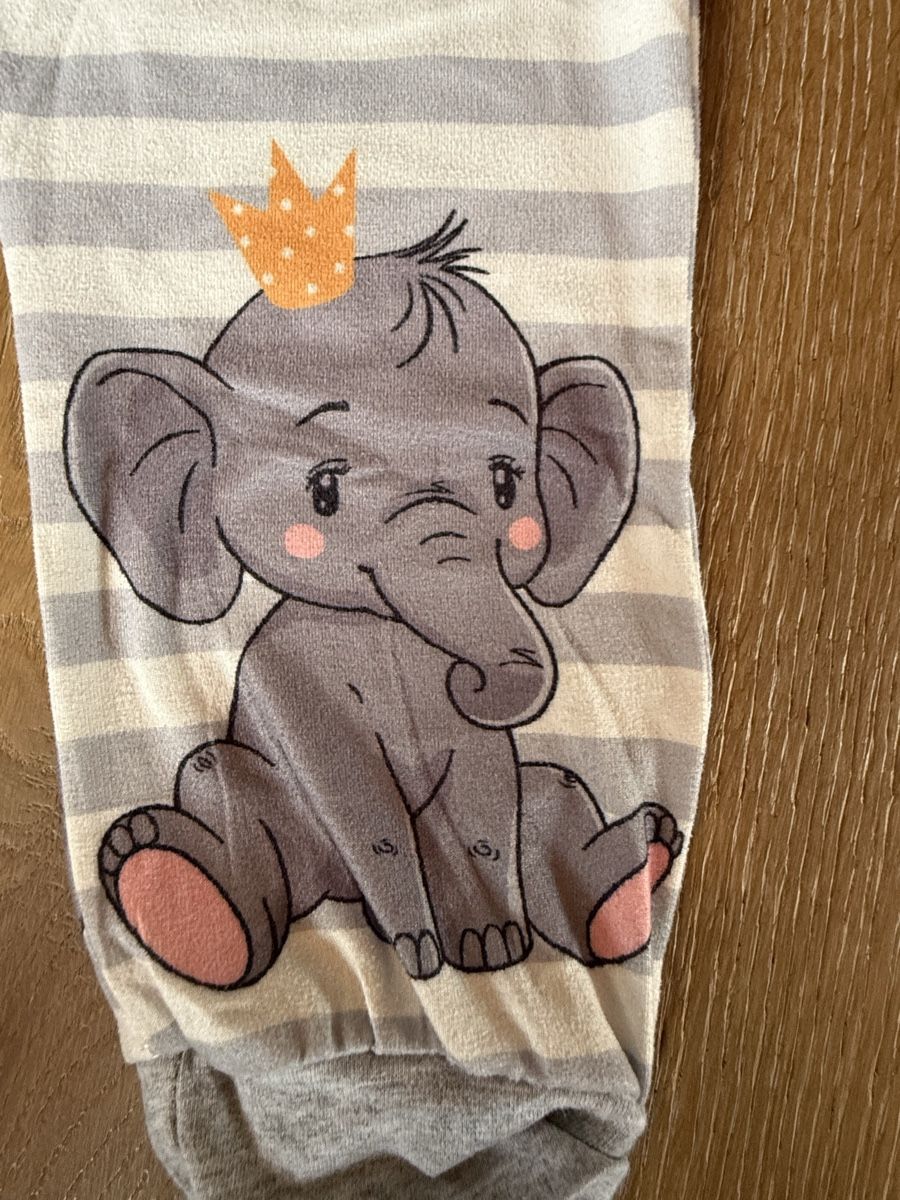 Kleiderpakete & -sets: Set Elefant Grösse 12 Monate (74/80) – Gebraucht aus Pragg-Jenaz von gobrist 1