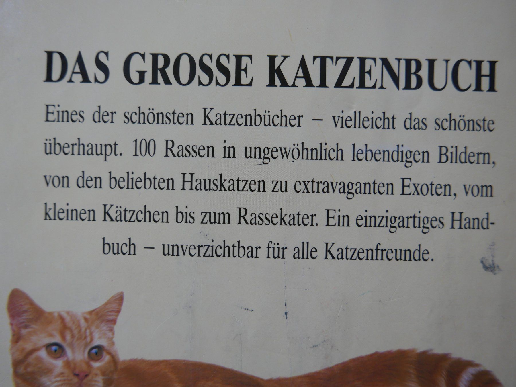 Livres: Das Grosse Katzenbuch - David Taylor - 100 Rassen – D'occasion à Rotkreuz par nigal 1