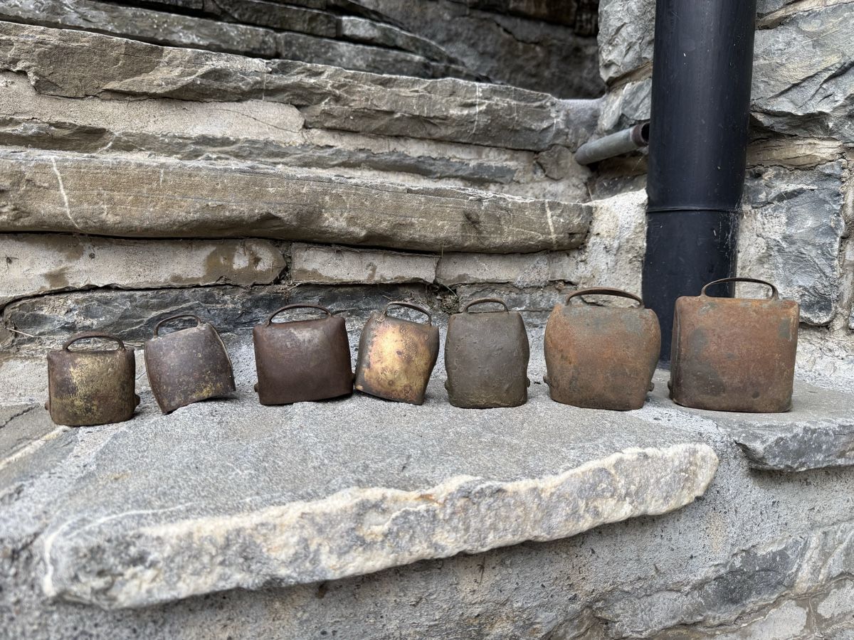 Campanacci mucche: Kleine treichleni – Usato da Adelboden venduto da acdc90