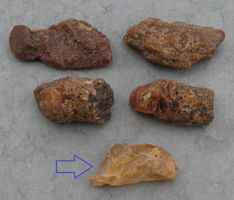 ♥ 4 ROHE BALTISCHE BERNSTEINE + KOPAL ♥