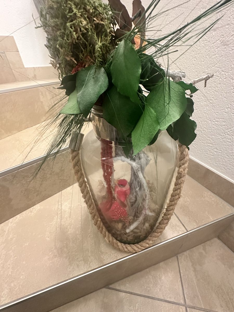 Alle Dekorationen: Arrangement floral – Gebraucht aus Orbe von unita 2
