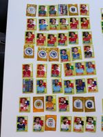 Panini World Cup WM 2026 Sticker Sammlung über 96 Stk. TOP!