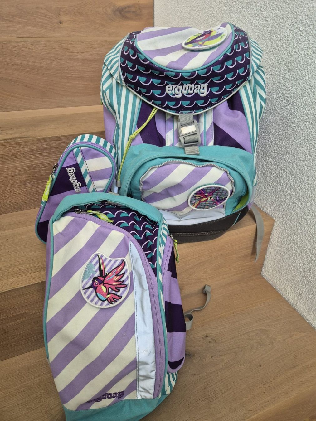 Ergobag Borse & Zaini: Ergobag Pack ÜBärflieger – Usato da Mettmenstetten venduto da dan_j5s7