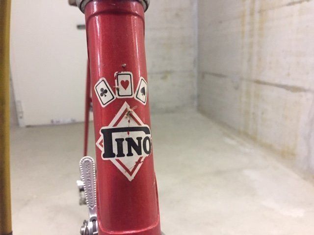 Vélos: Pino Super Velo de Course – D'occasion à Nyon par rpo_tz7v 3