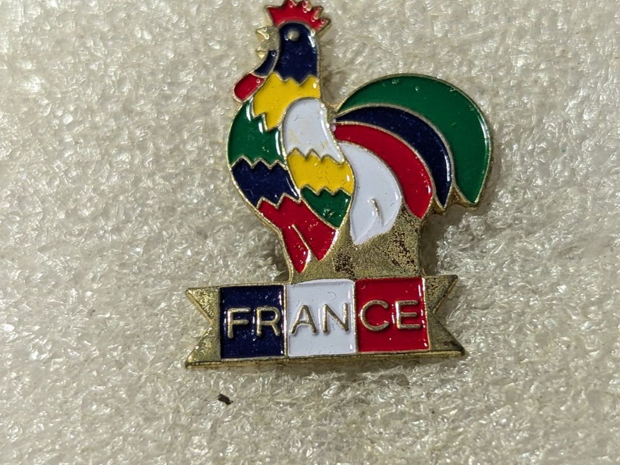 Placchette & Badge: Ansteckpin 169: France – Usato da Oppligen venduto da Pin-Fall-Shop