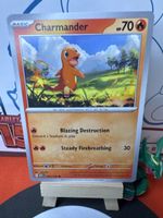 POKÉMON / Charmander / 151