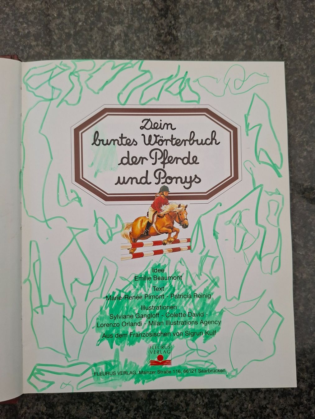 Livres: Buch "Dein buntes Wörterbuch der Pferde und Ponys" – D'occasion à Boniswil par Totomat-Lady2 3