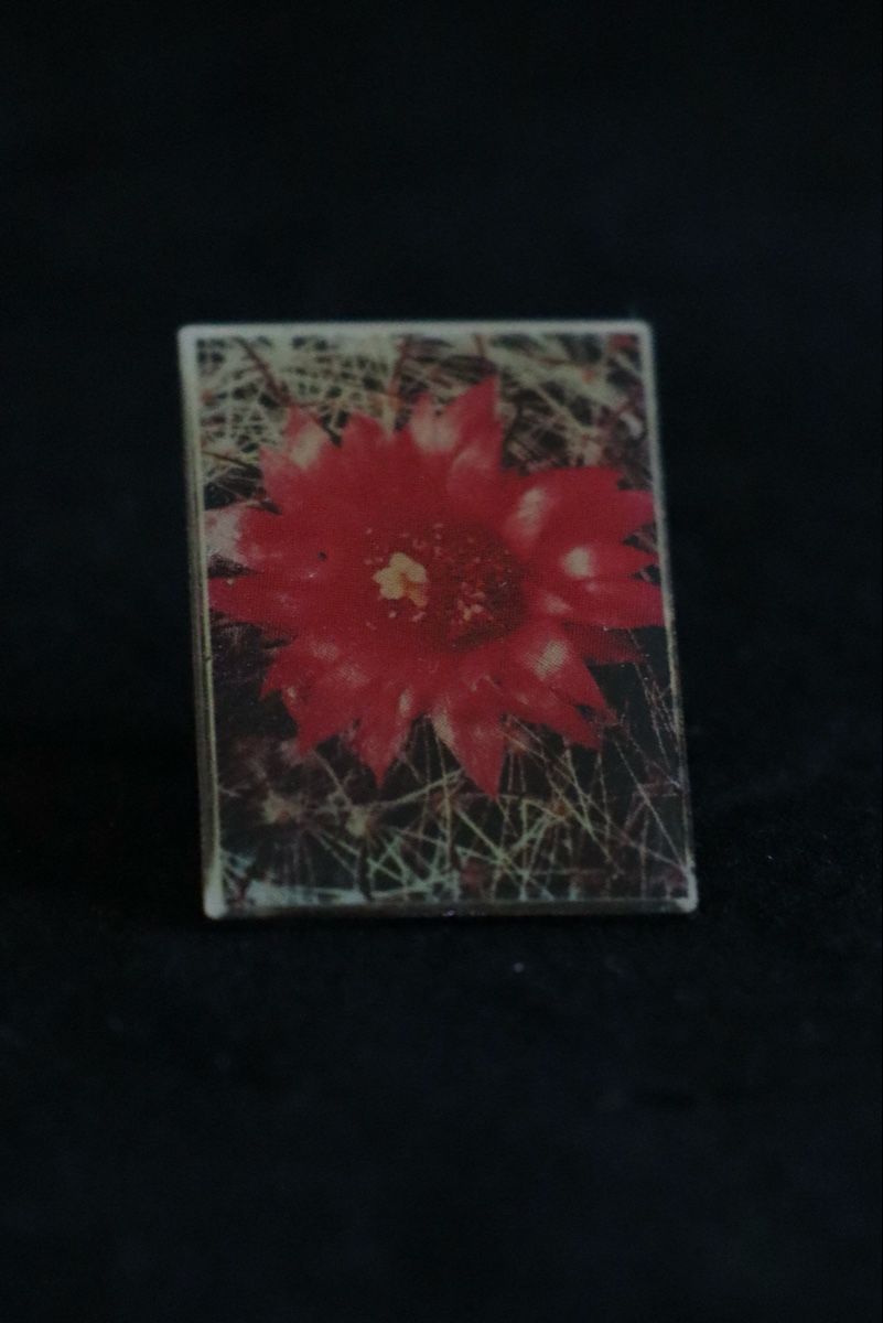 Placchette & Badge: Blumen PIN‘s – Usato da Ottenbach venduto da siiinnaa_77 2