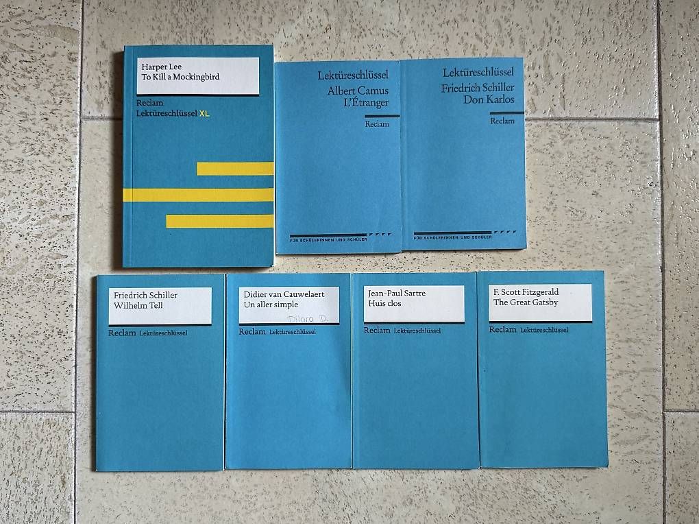 Libri: Lektürenschlüssel, pro Stück 7 CHF – Usato da Sarnen venduto da ale_7ph7