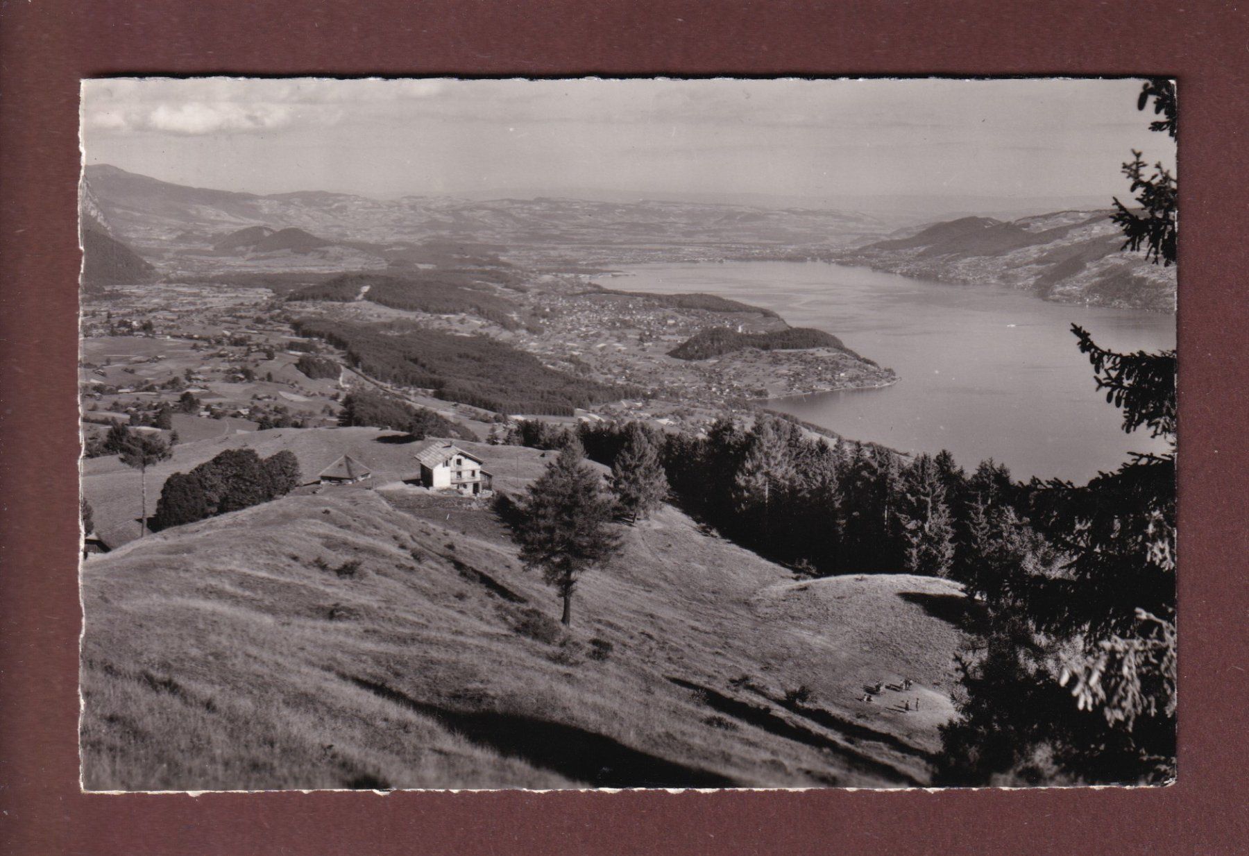 Cartoline postali: Blick über AESCHI auf Thunersee - 1952 – Usato da Pully venduto da nicecards-shop