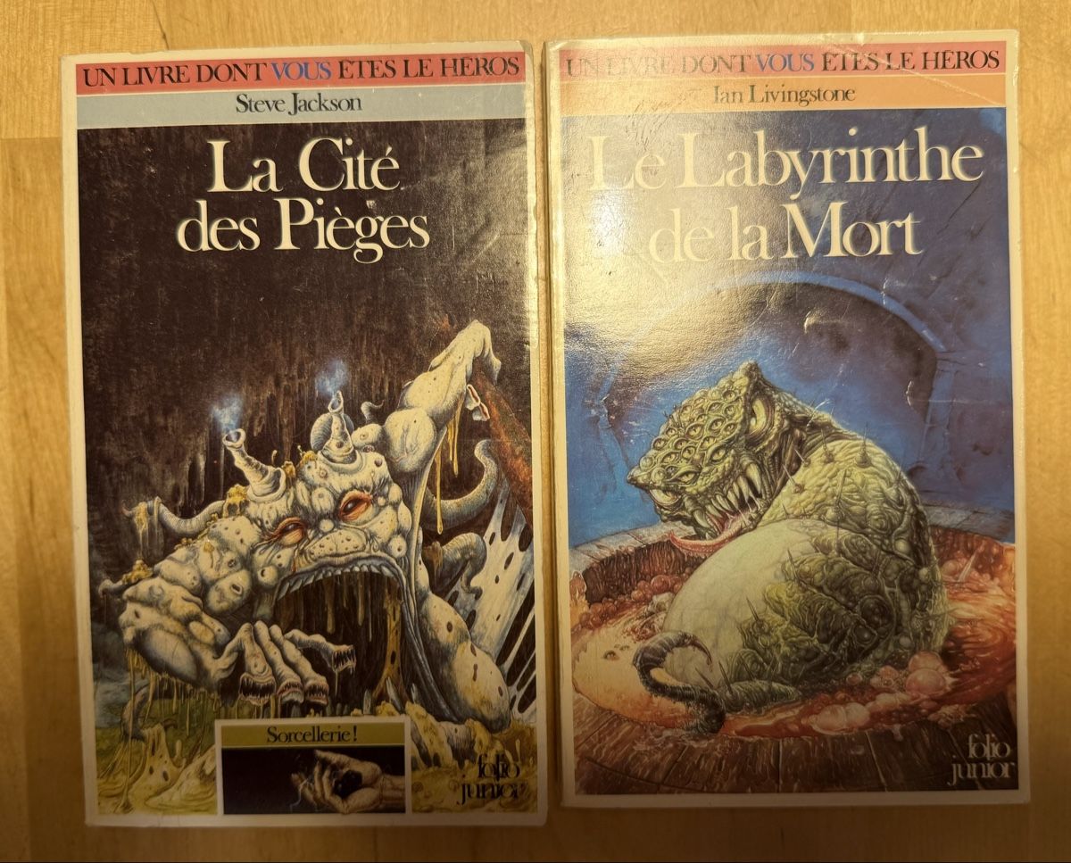 Libri: Livre dont vous êtes le héros  – Usato da Meinier venduto da fabdab