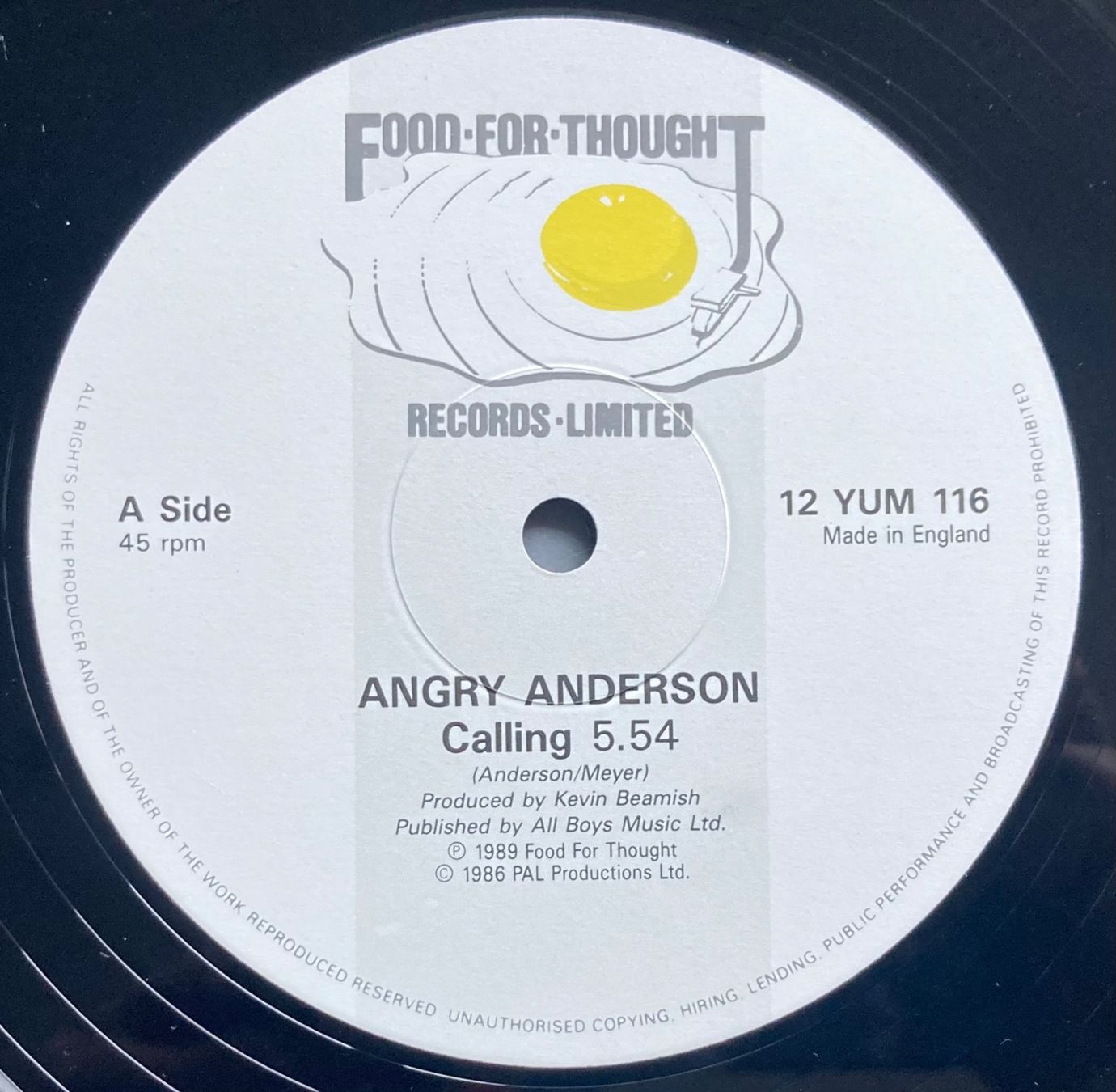 Dischi in vinile: ANGRY ANDERSON - CALLING – Usato da Poliez-Pittet venduto da Newtown-Records 2