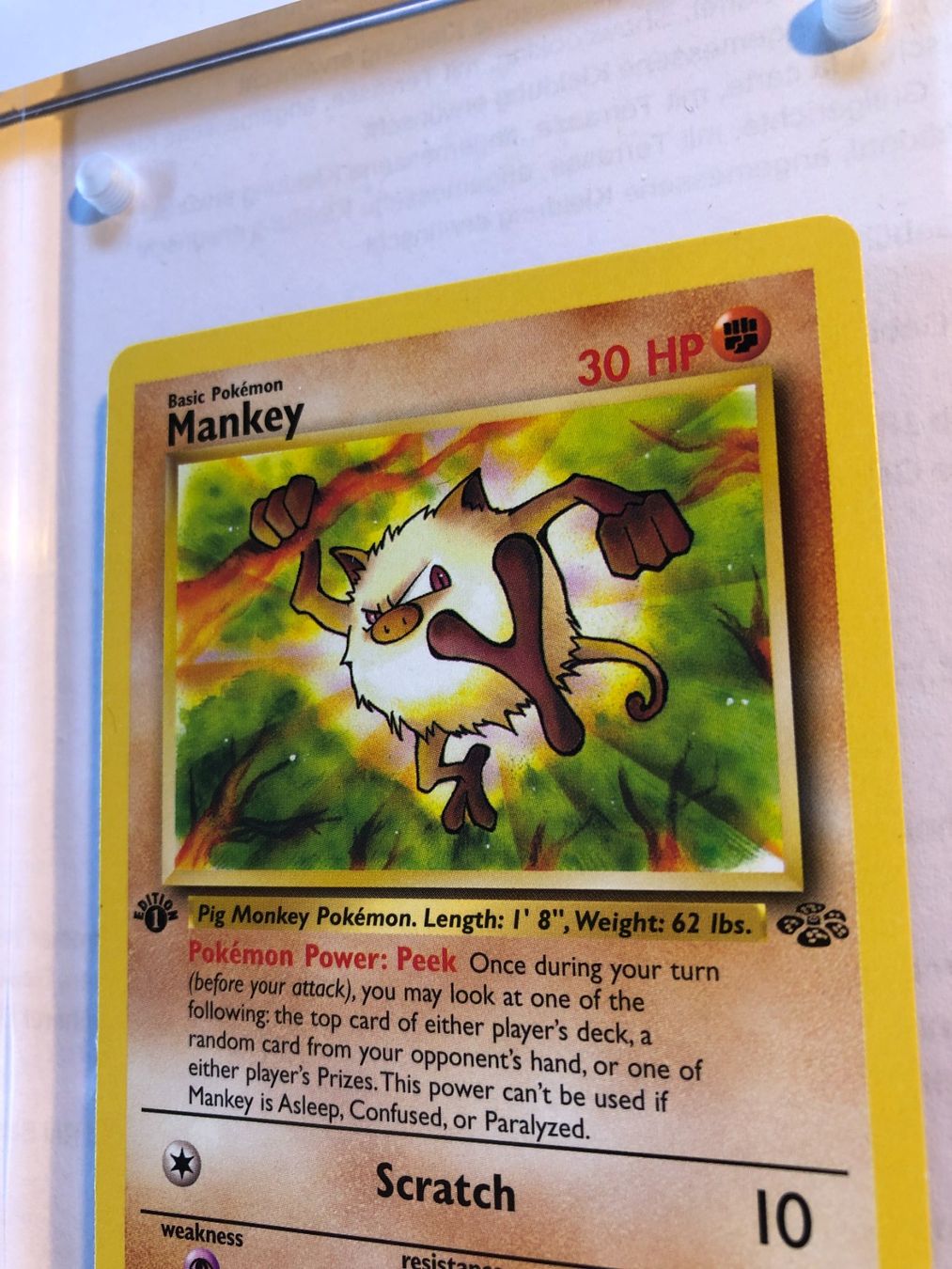 Sammelbilder & Trading cards: Mankey 1st Jungle - NM - ab 1.- – Gebraucht aus Giubiasco von dan_pr8b 3