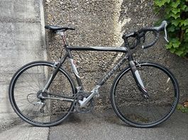 Trek Madone 5.0 Carbon Rennvelo, Shimano Ultegra/DT Swiss