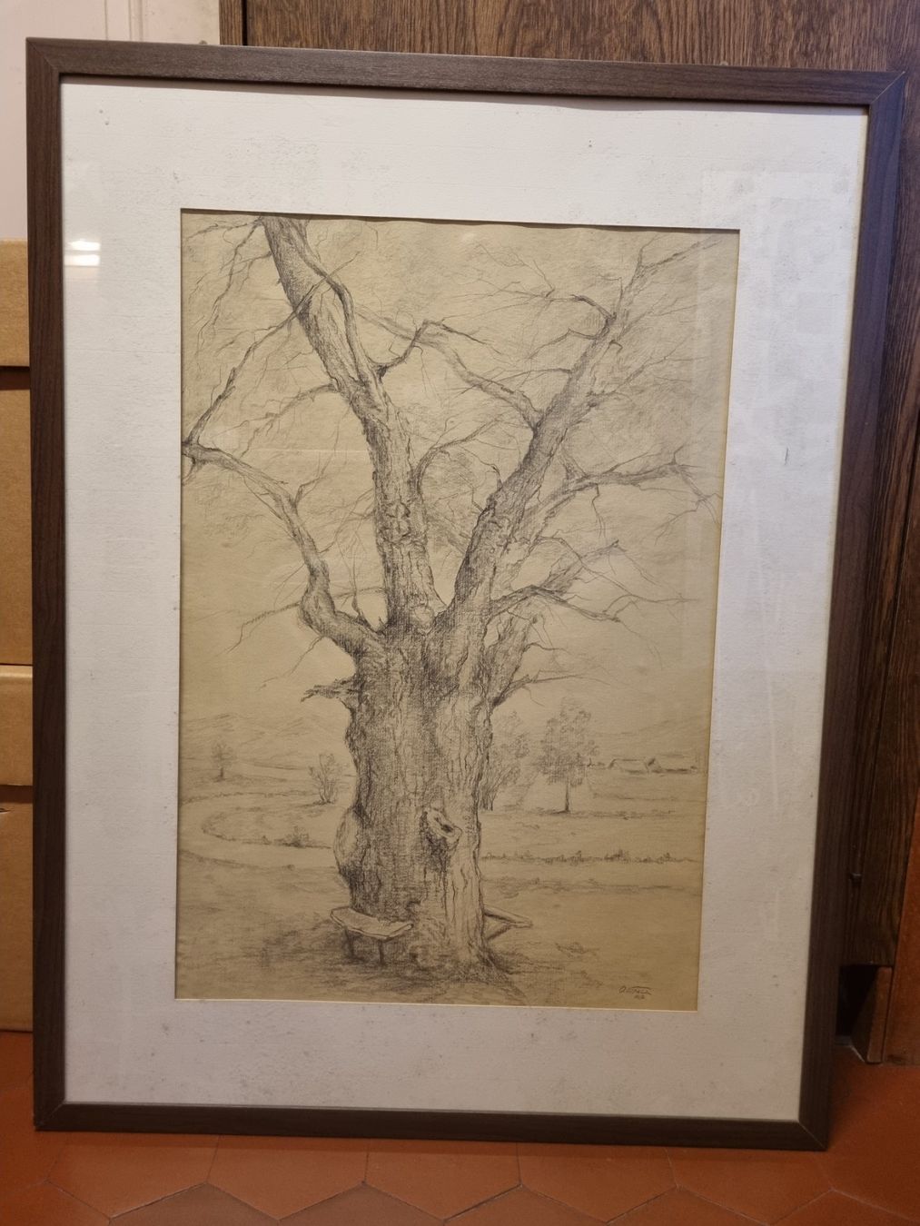 Gemälde: Zeichnung Baum Bleistift gerahmt – Gebraucht aus Schaffhausen von Leveron13 2