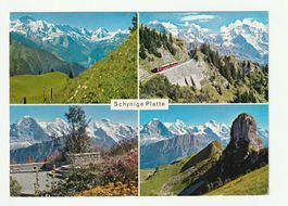 AK Bern, Interlaken: Panorama der Schynige-Bahn 1969