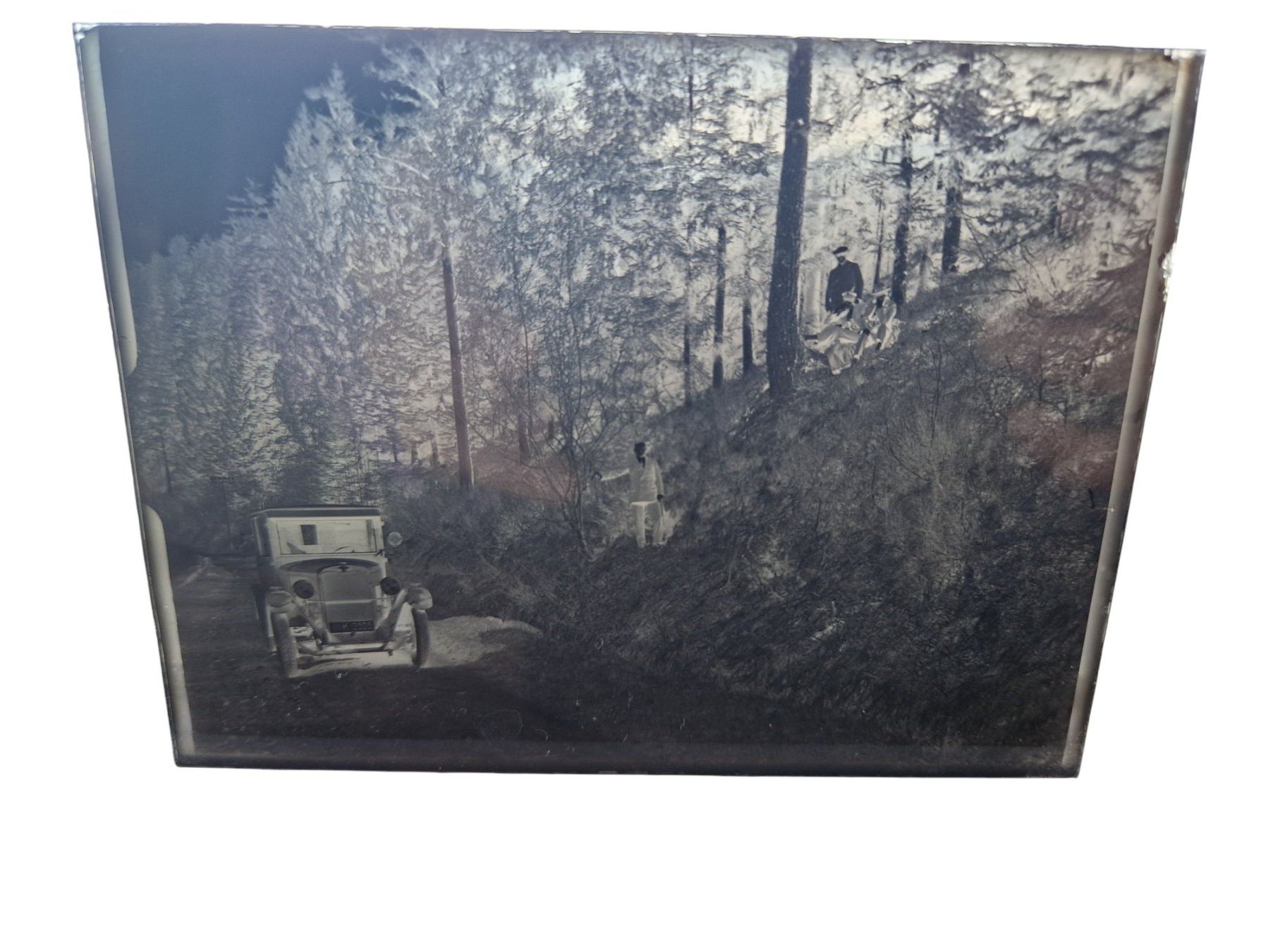 Foto & Immagini: antike Glasnegative Fotografien – Usato da Mörschwil venduto da lindaswunderkiste 2