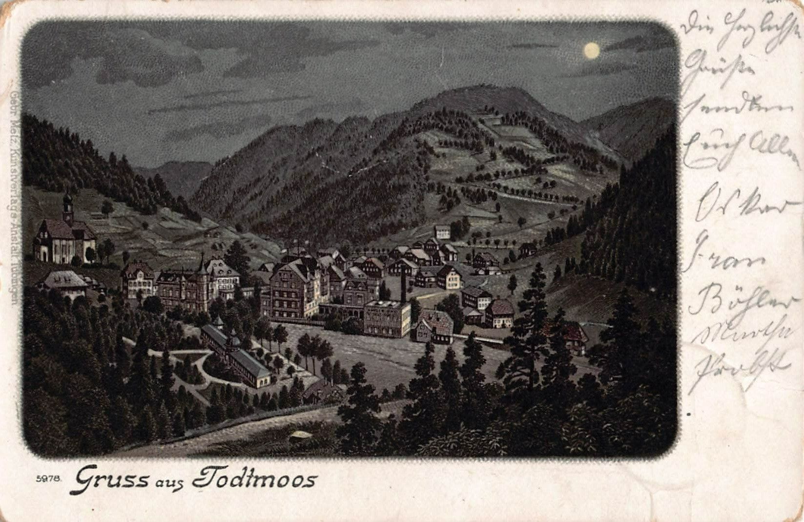 Cartoline postali: Gruss aus TODTMOOS - alte Postkarte 1899 – Usato da Winterthur venduto da SchatzchischtliWinti