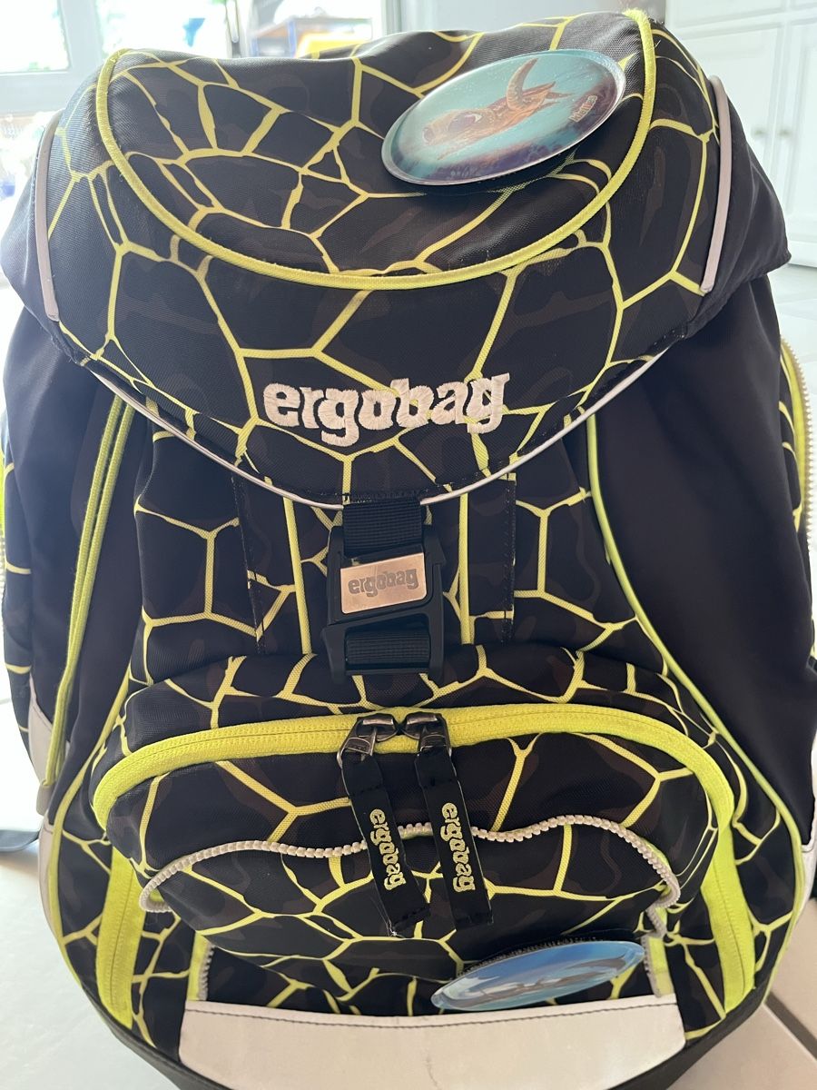 Ergobag Borse & Zaini: Ergobag Schulrucksack – Usato da Aarberg venduto da ryco11