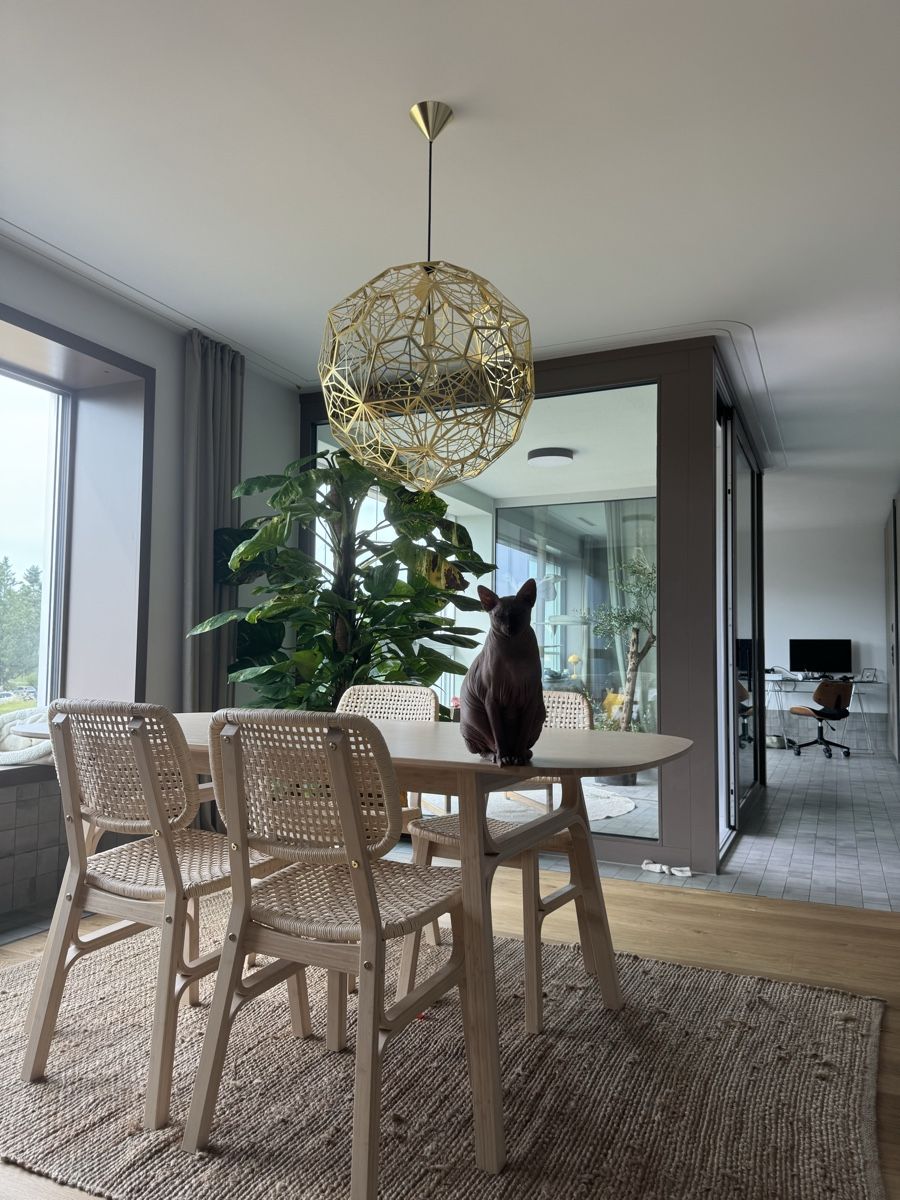 Tom Dixon Lampadari & plafoniere: Tom Dixon Kugel Lampe gold – Usato da Zürich venduto da JUMAI06 2
