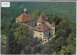 Flugaufnahme Kyburg