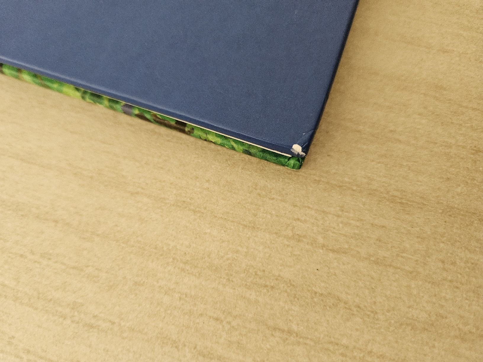 Bücher: Bildermaus Die Dschungelfreunde THILO Alexander Bux – Gebraucht aus Arni AG von Silverstar_01 2