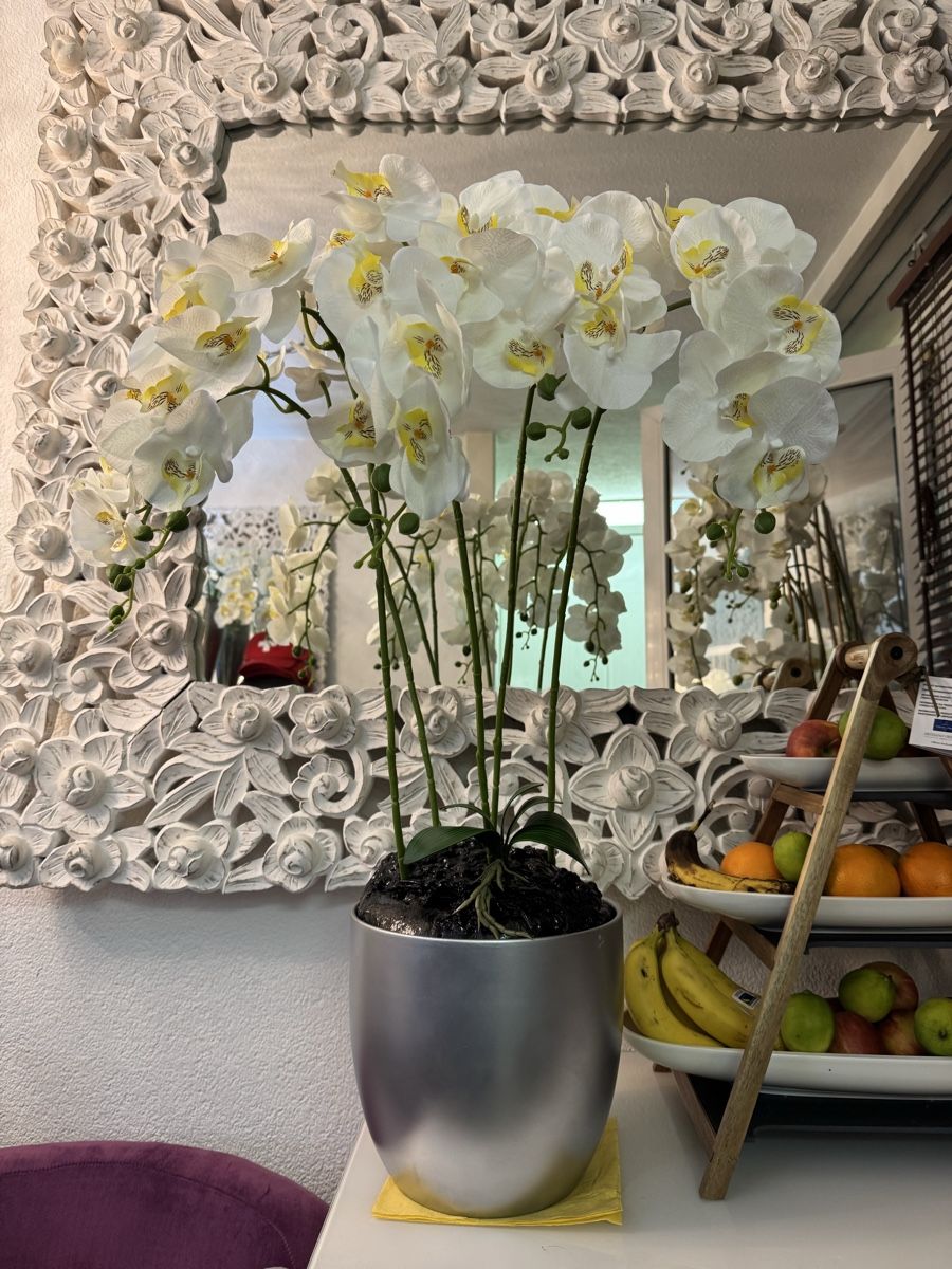 Alle Dekorationen: Künstliche Orchideen New – Neu (gemäss Beschreibung) aus Zürich von Privat4444 3