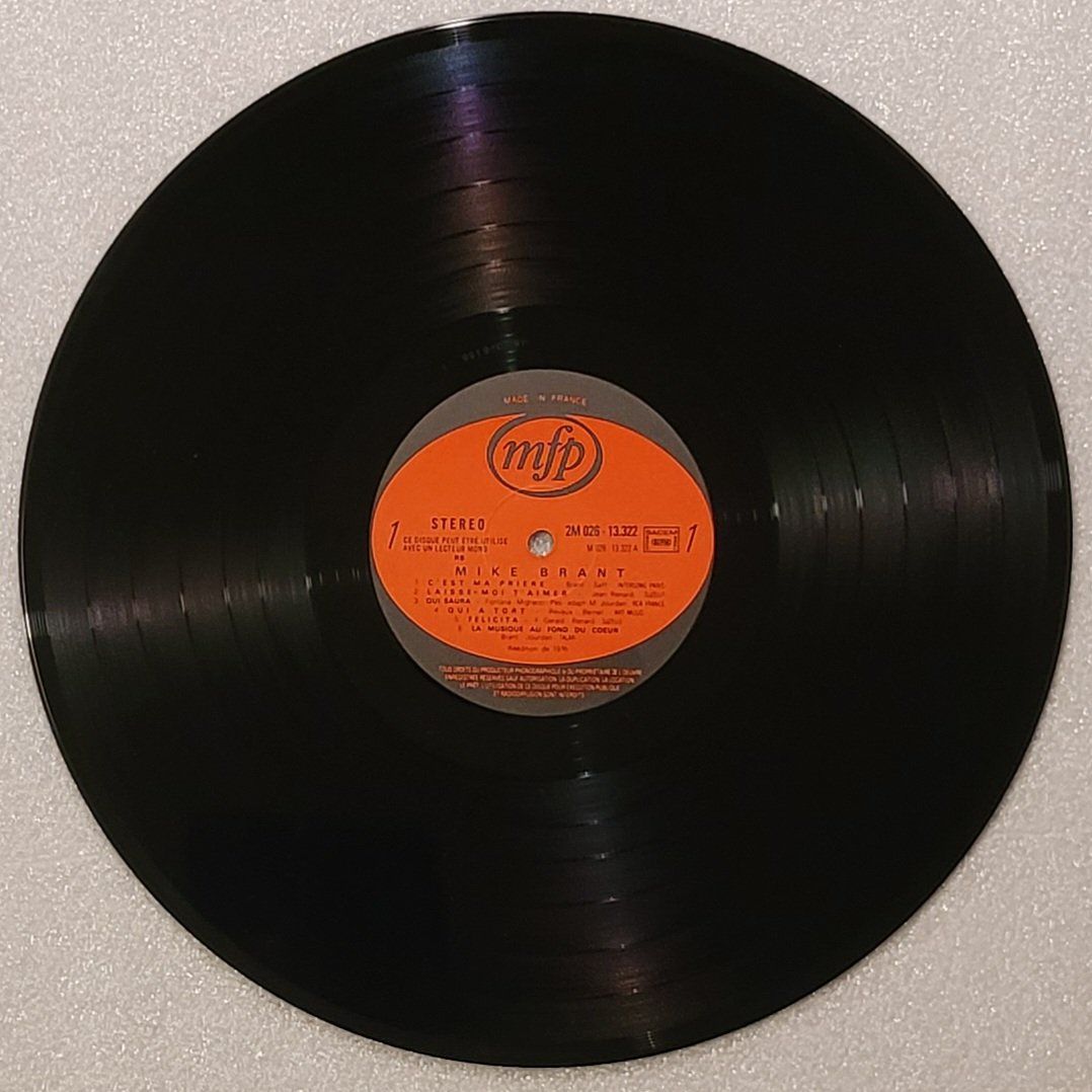 Dischi in vinile: Mike Brant von 1976 – Usato da Zürich venduto da Avd 4
