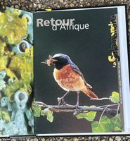 La Salamandre: Collection Complète Reliée - État Neuf! (54)