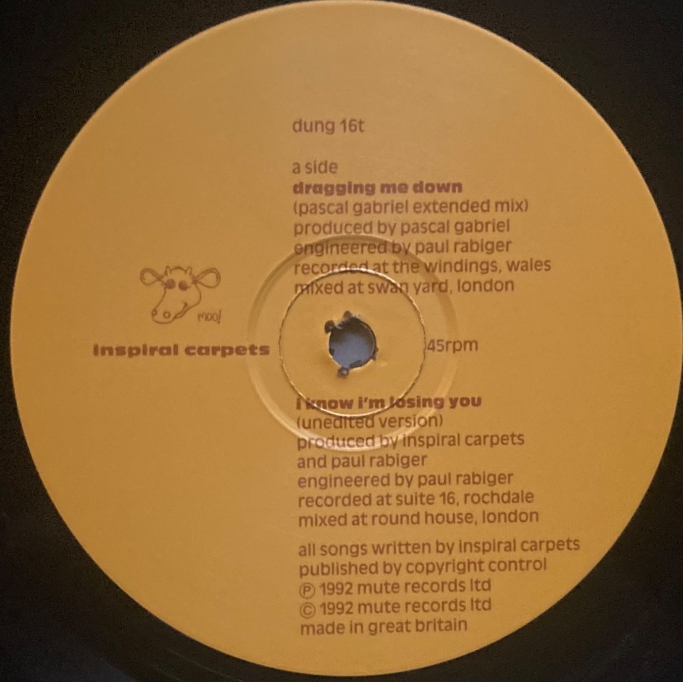 Dischi in vinile: INSPIRAL CARPETS - DRAGGING ME DOWN – Usato da Poliez-Pittet venduto da Newtown-Records 3