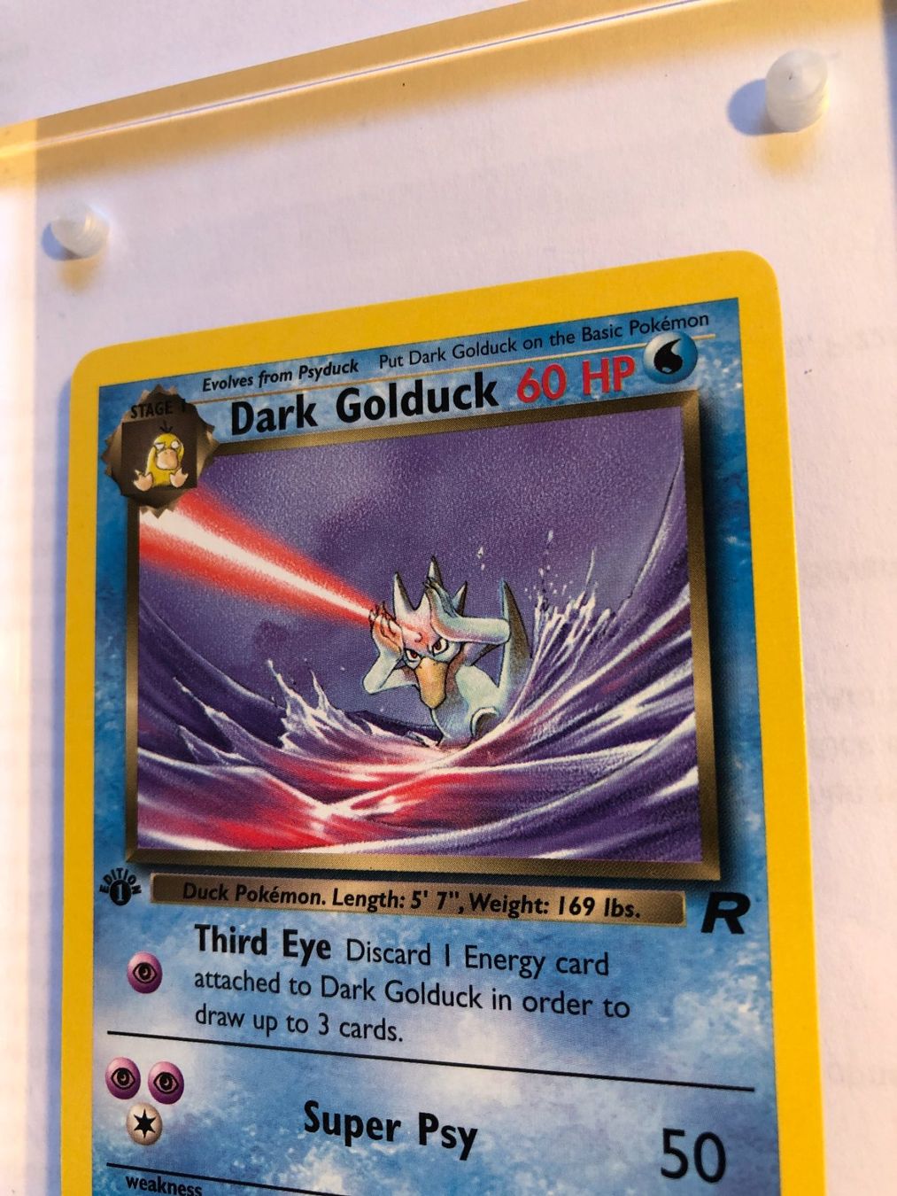 Carte collezionabili: Dark Golduck (unc.) 1st Team Rocket - MINT - ab 1.- – Usato da Giubiasco venduto da dan_pr8b 3