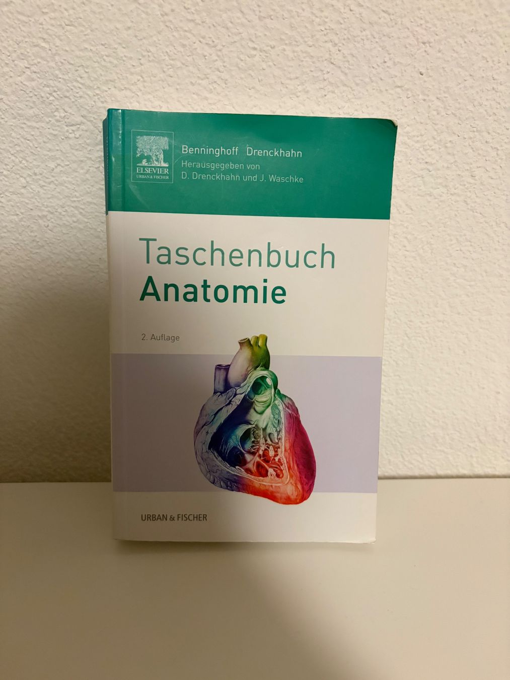 Bücher: Taschenbuch Anatomie Benninghoff, 2. Auflage – Gebraucht aus Liebefeld von lau_dfv9
