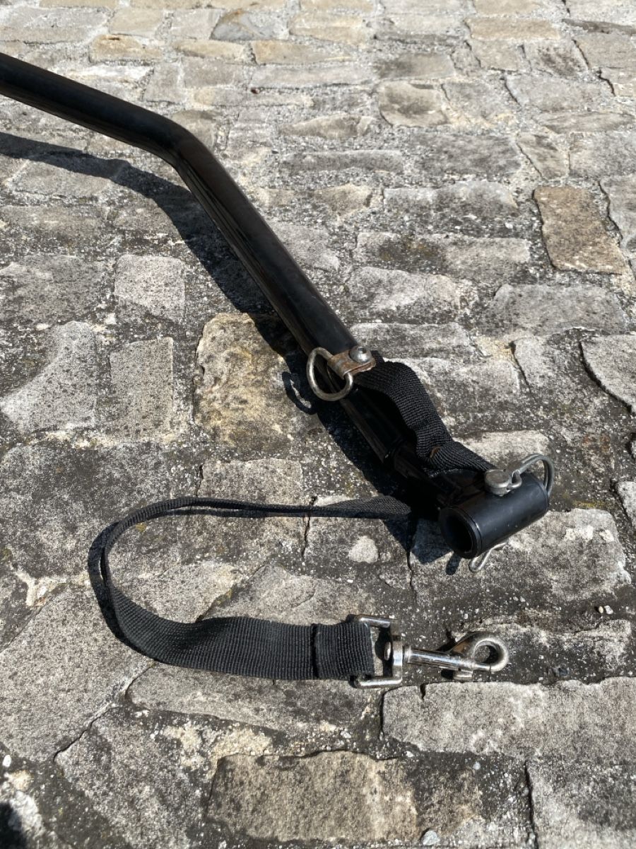Rimorchi:  Veloanhäanger – Usato da Jona venduto da outoftheblue 3