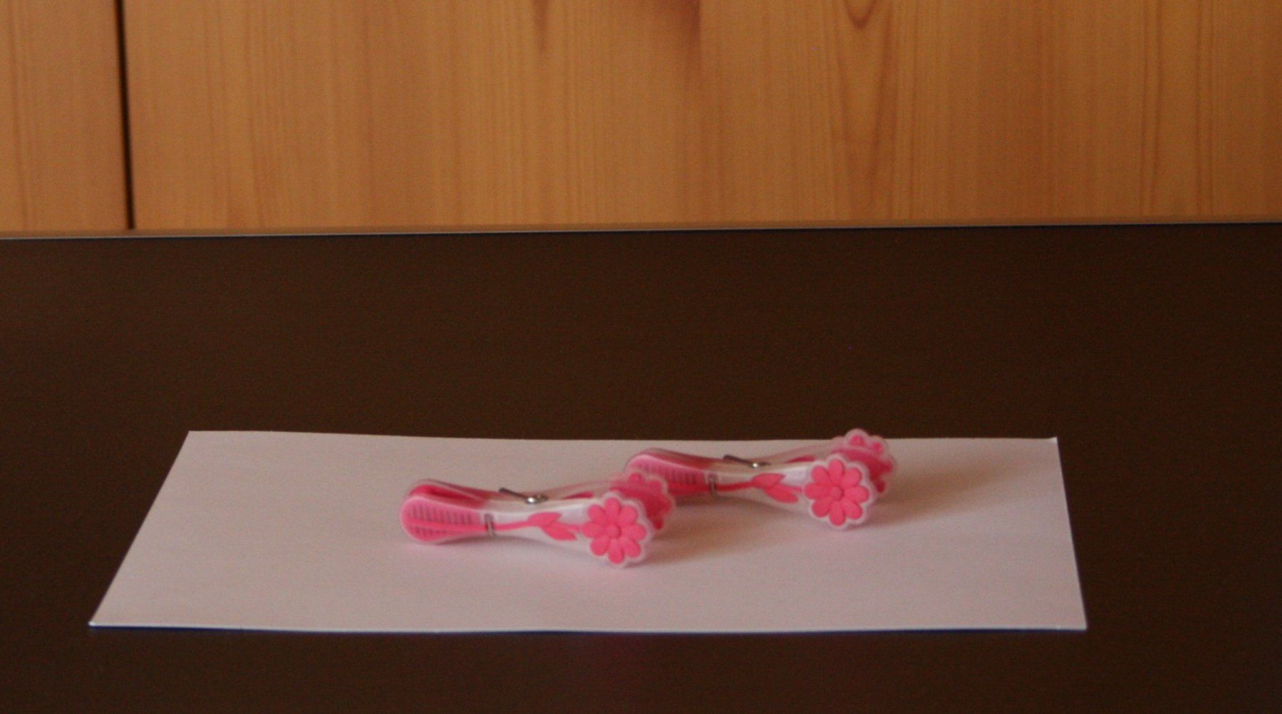 Tutti gli attrezzi: 2 Wäscheklammern mit Blumen pink – Nuovo (secondo la descrizione) da Flüelen venduto da Diversicum-Shop 1
